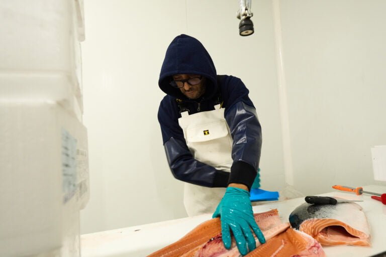 Mareyeur Marseille - Le Royaume des mers 12