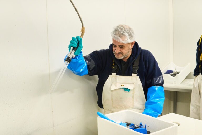 Mareyeur Marseille - Le Royaume des mers 4